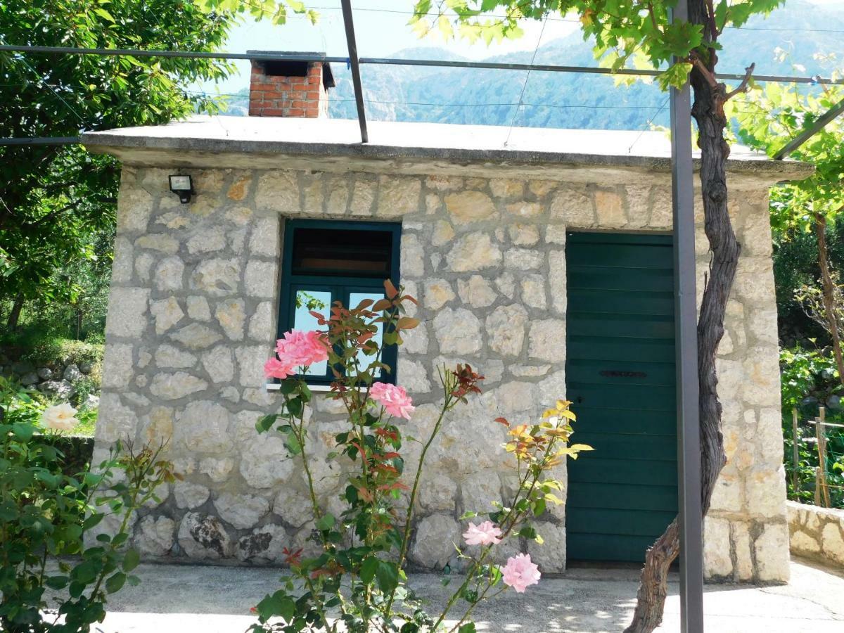 Apartman Niki Μακάρσκα Εξωτερικό φωτογραφία